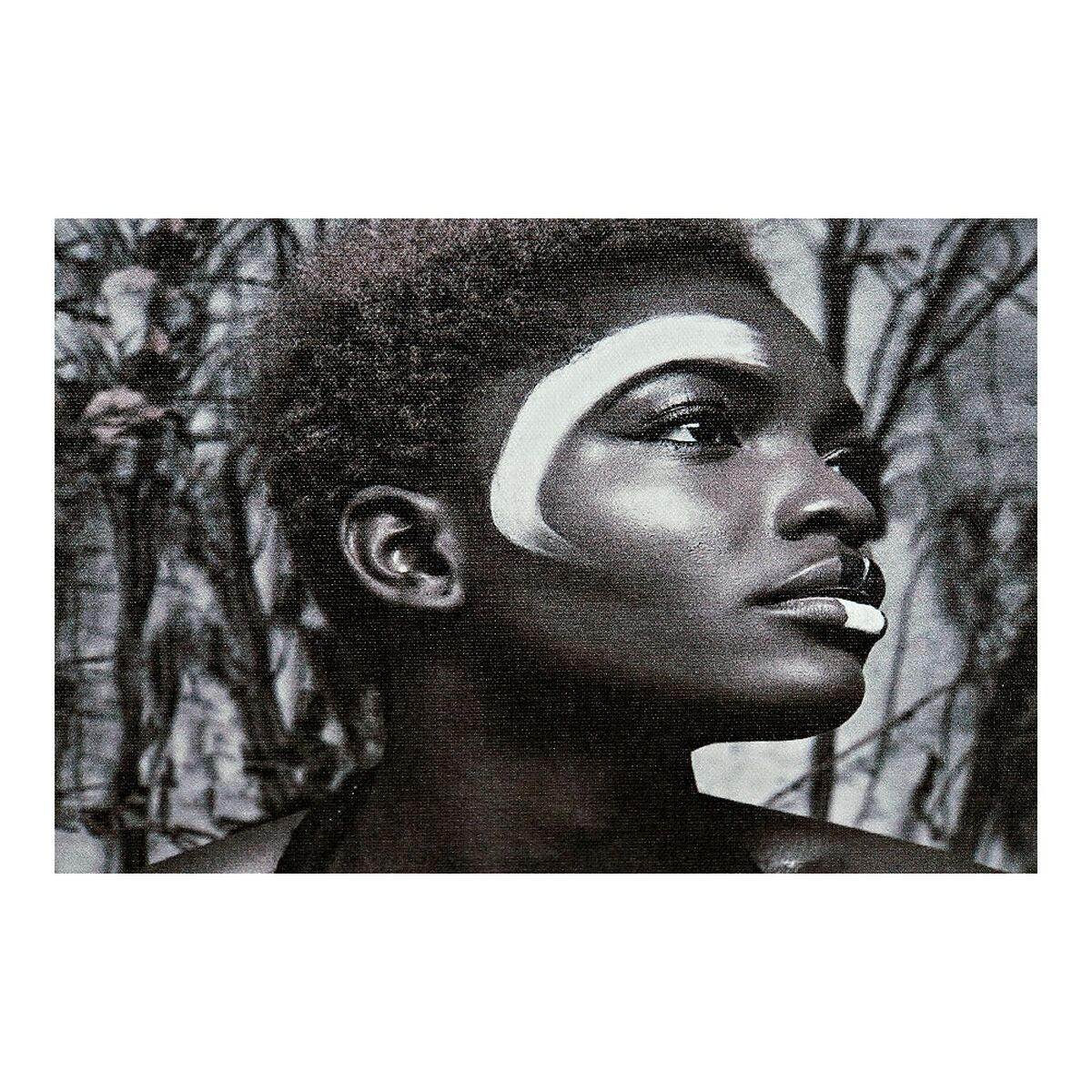 V8H78CD9E6D32D11BD006952A0300616789R5660075P3