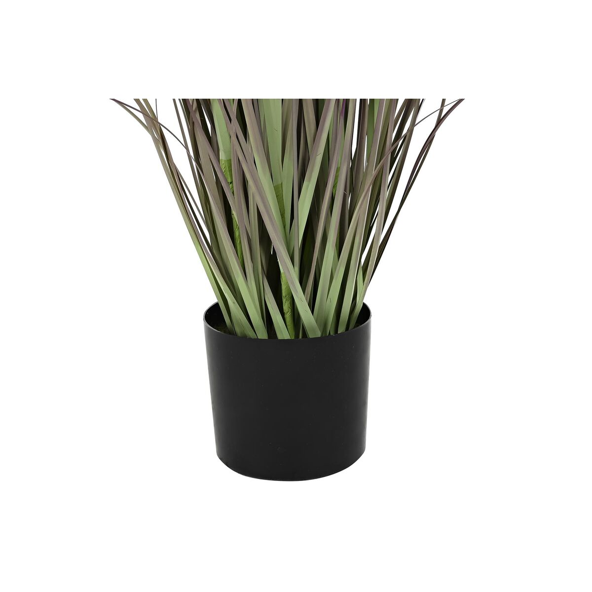 V6HBAB1EAD56692C1CDB0E29E86782538A8R5662659P3