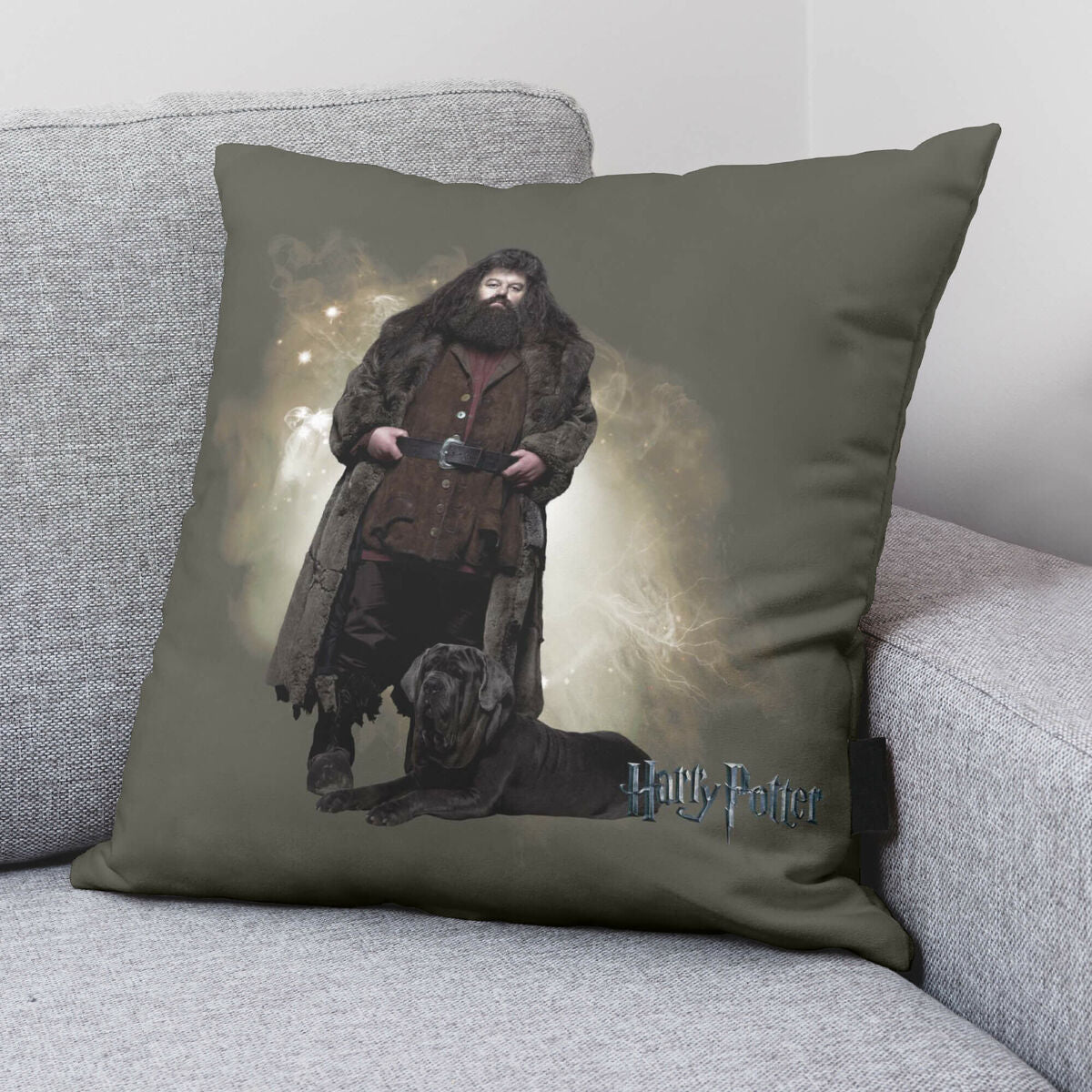 Fodera per cuscino Harry Potter Hagrid 50 x 50 cm