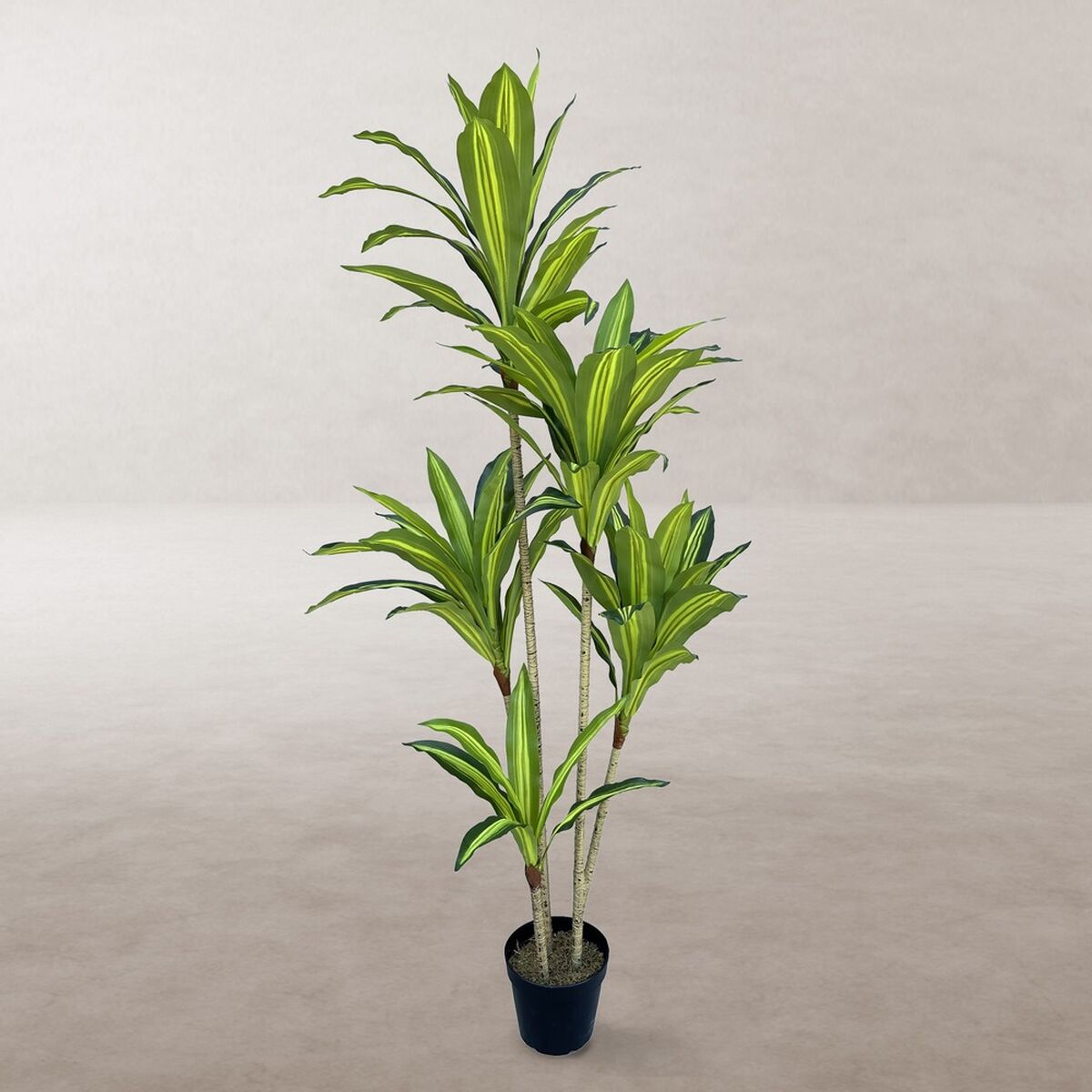 Pianta Decorativa Poliuretano Cemento 150 cm
