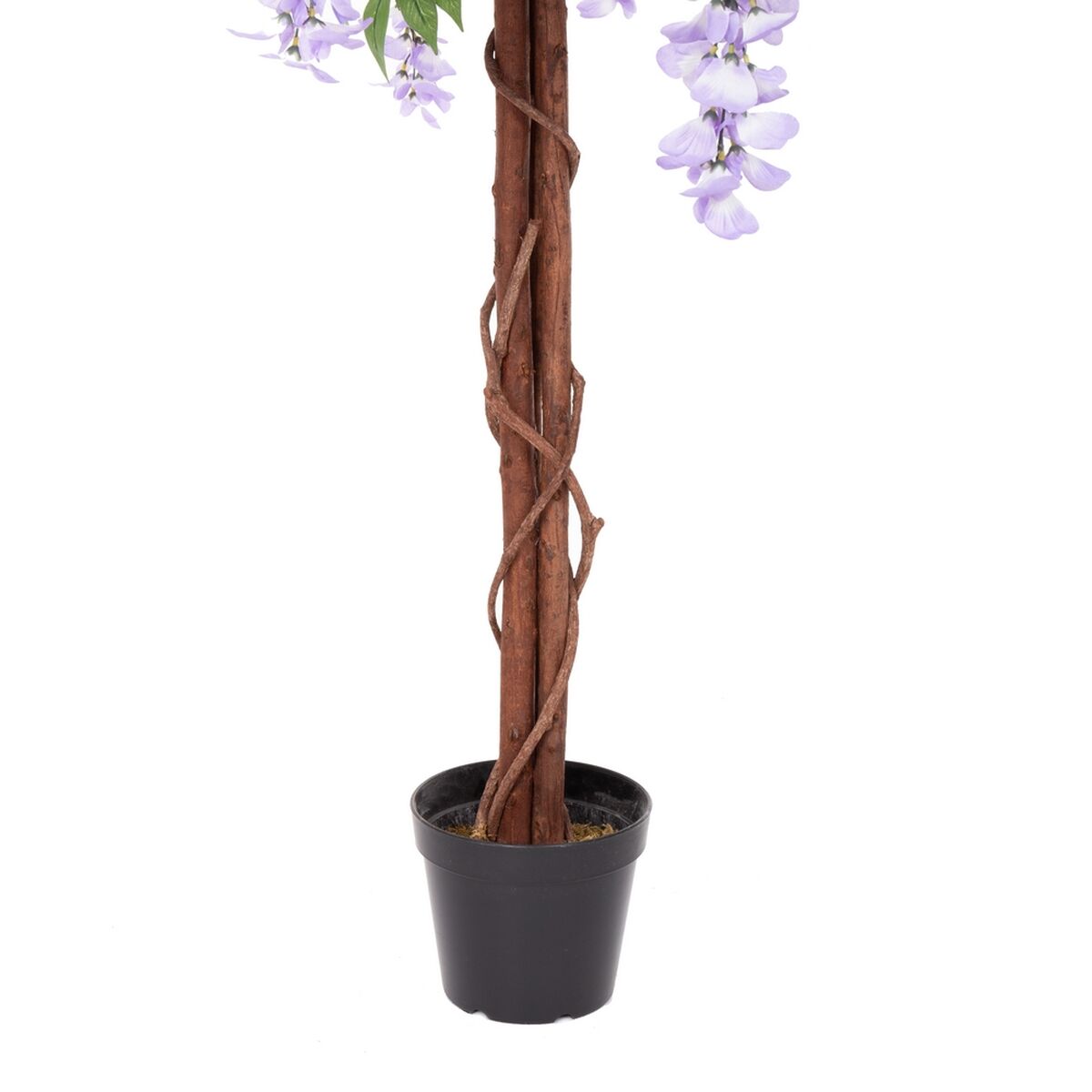 Pianta Decorativa Cemento Tessuto 150 cm