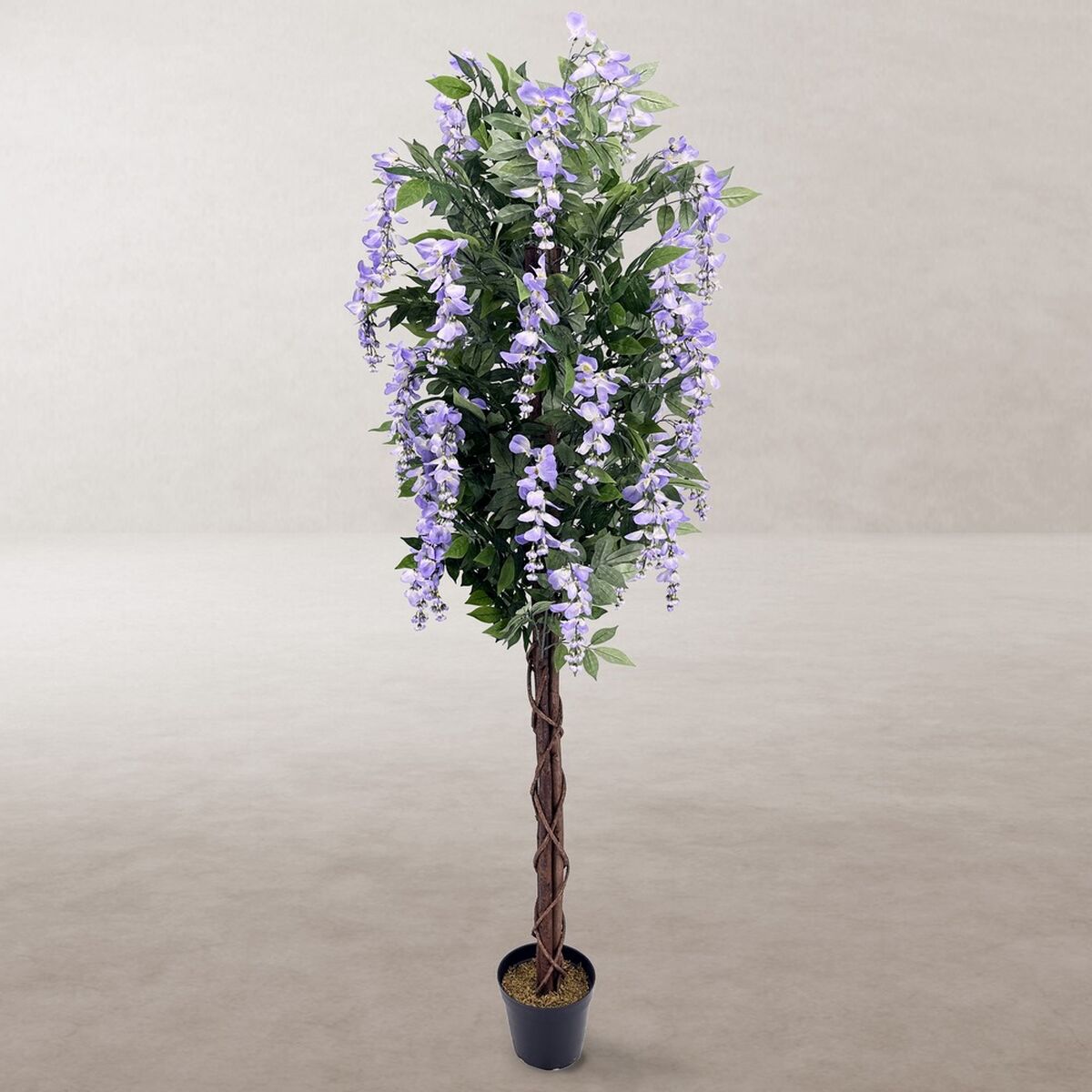 Pianta Decorativa Cemento Tessuto 180 cm