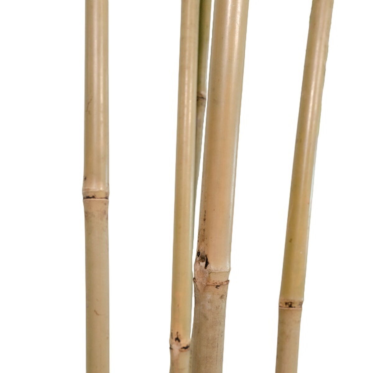 Albero Home ESPRIT Poliestere Bambù 80 x 80 x 180 cm
