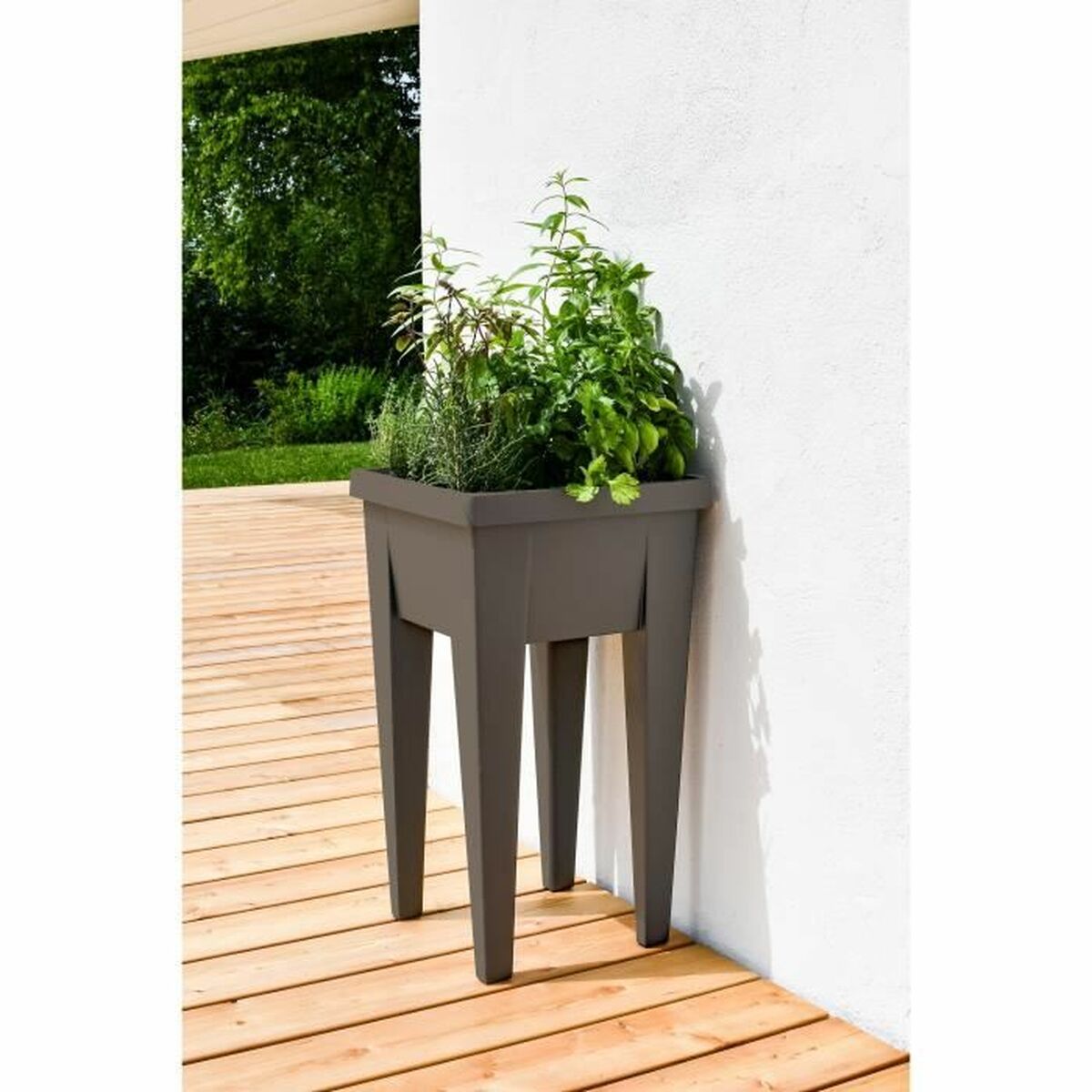 Vaso EDA Verdure Tabella di crescita 38,5 x 38,5 x 68 cm