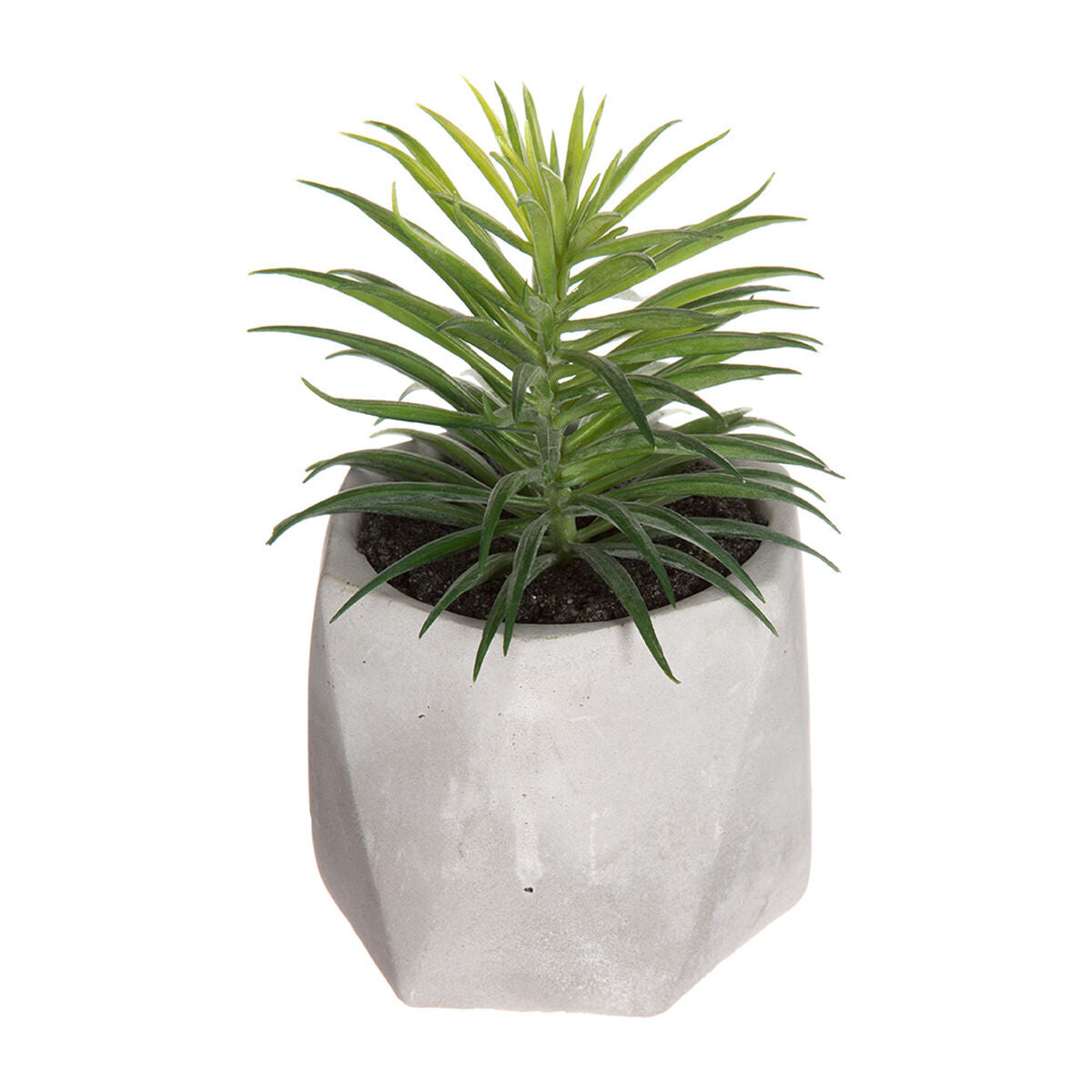 Pianta finta Atmosphera 7 x 14 cm PVC