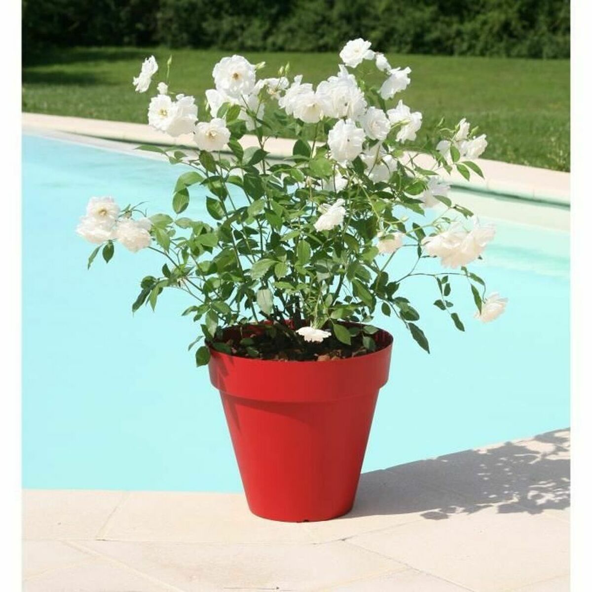 Vaso Riviera Soleilla 60 x 54 cm Rotondo Rosso