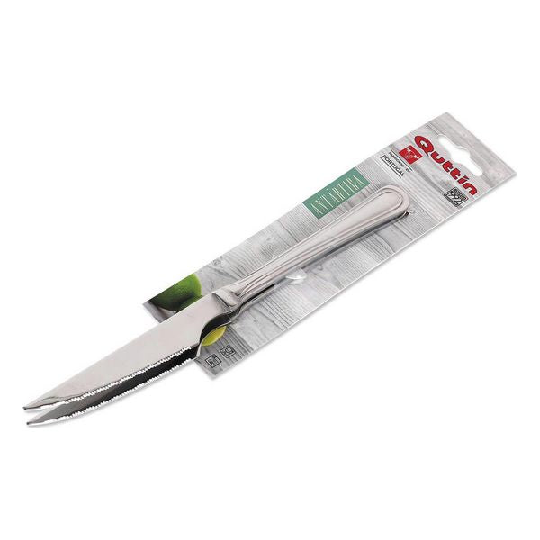Set di Coltelli per Carne Antartica Quttin (21,5 cm)