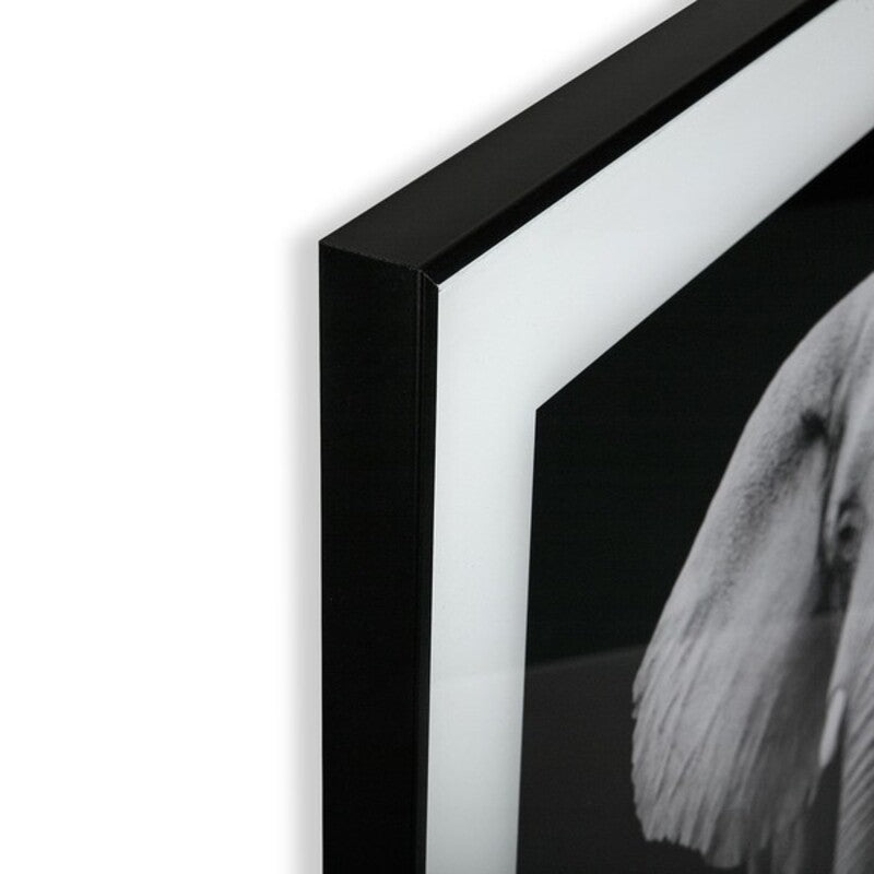 Quadro Versa S3403596 (2 x 50 x 50 cm)