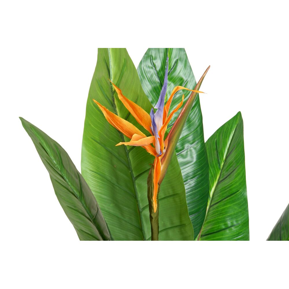 Pianta finta DKD Home Decor PVC (100 x 100 x 145 cm)