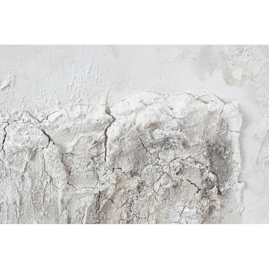 Quadro DKD Home Decor Tela Copaci (2 pezzi) (100 x 3.8 x 100 cm)