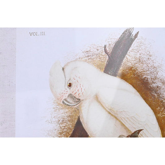 Tela DKD Home Decor (50 x 2,8 x 65 cm) (50 x 65 x 2.8 cm) (4 Unità)