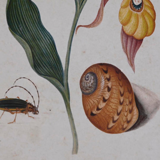 Quadro DKD Home Decor Abete Cristallo Fiori (50 x 2,5 x 65 cm) (4 Unità)