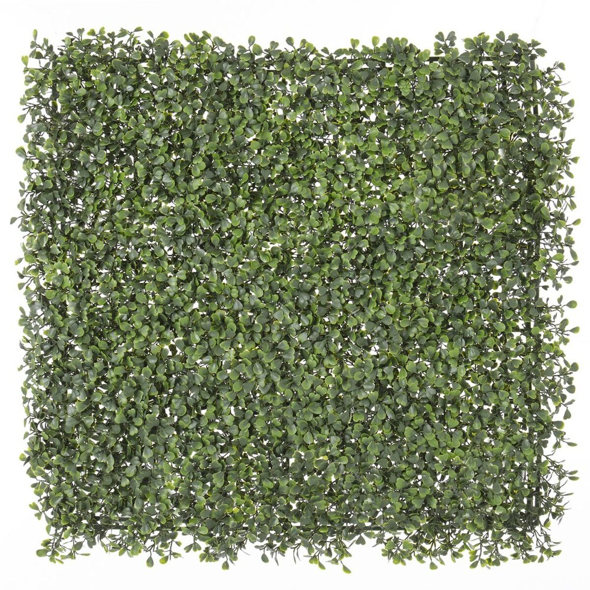 Recinto Boje Naturale 50 x 50 x 2 cm