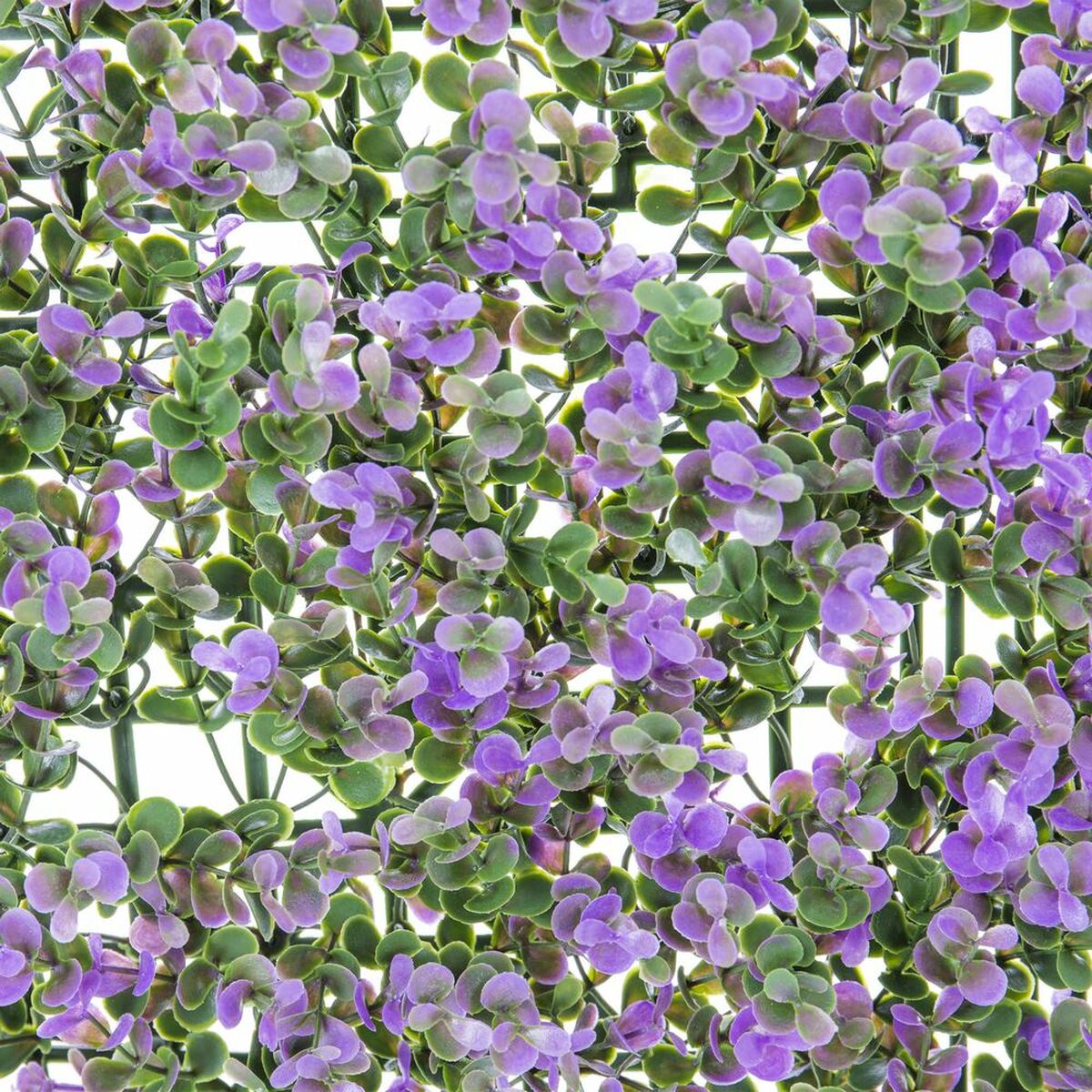 Recinto Lavanda 50 x 50 x 2 cm