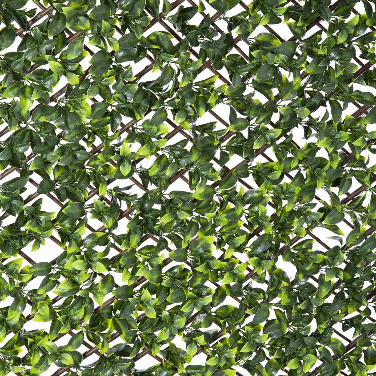 Griglia Natural Edera vimini Bambù 2 x 200 x 100 cm