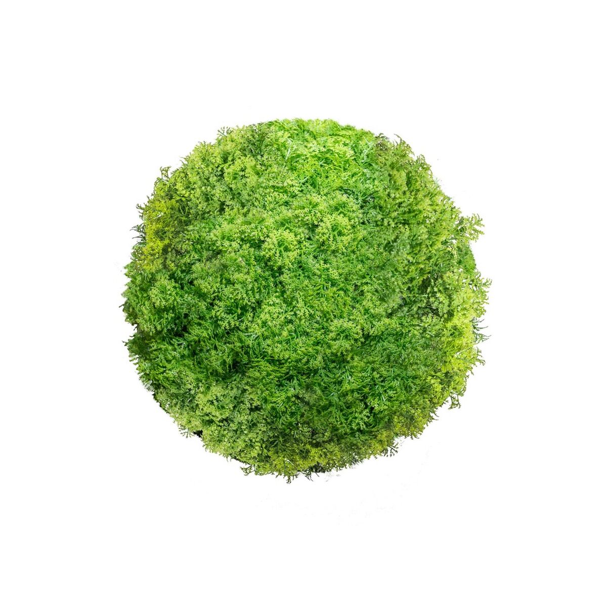 Pianta Decorativa Sfera Muschio 20 x 20 x 20 cm