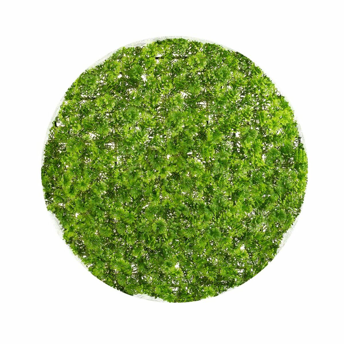 Pianta Decorativa Sfera Muschio 30 x 30 x 30 cm