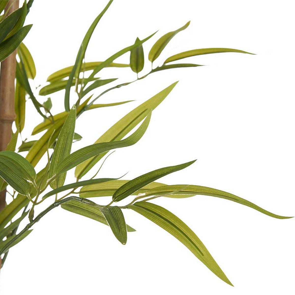 Pianta finta Bambù Verde Plastica (80 x 150 x 80 cm)