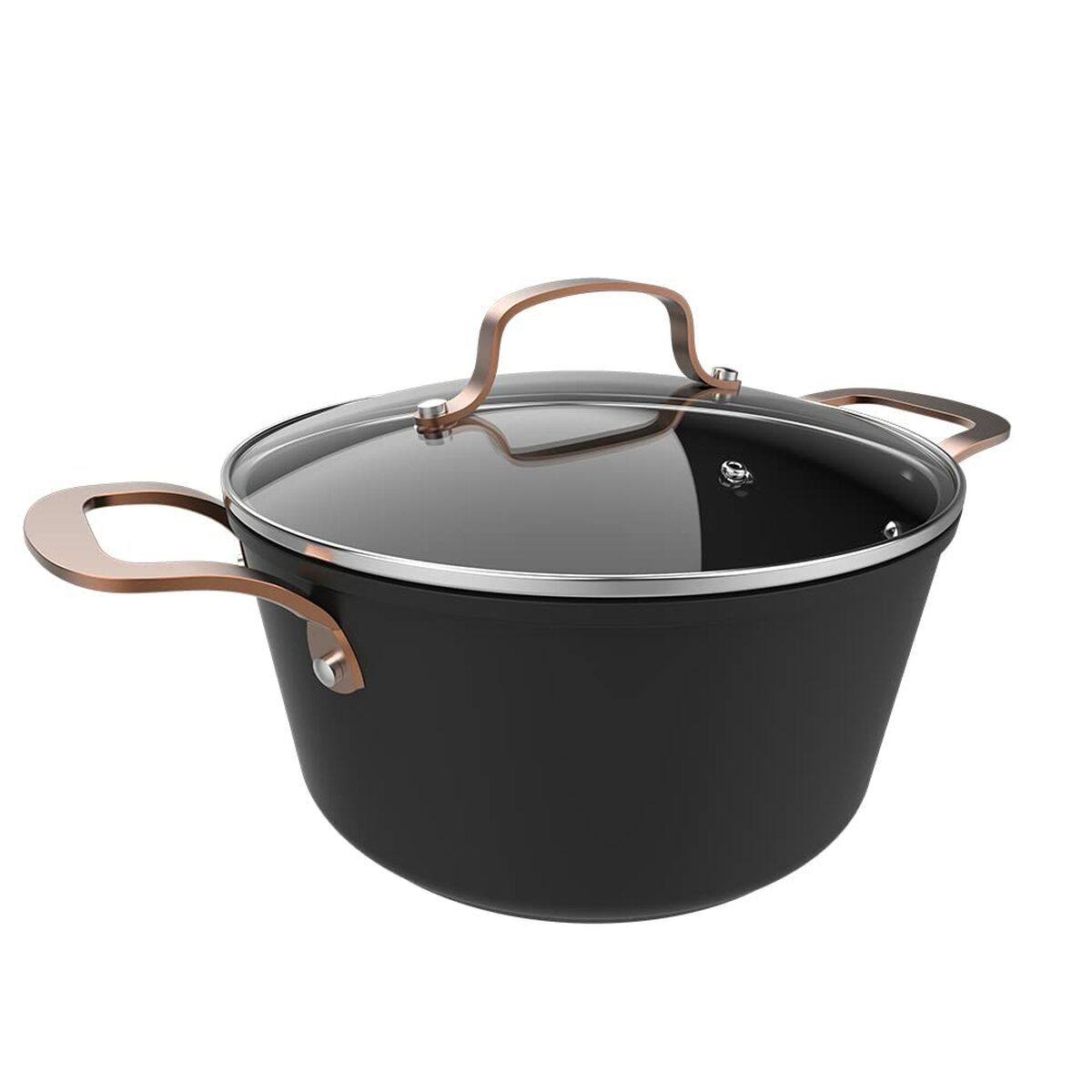 Pentola con Coperchio Cecotec Fantasy Ø 24 cm