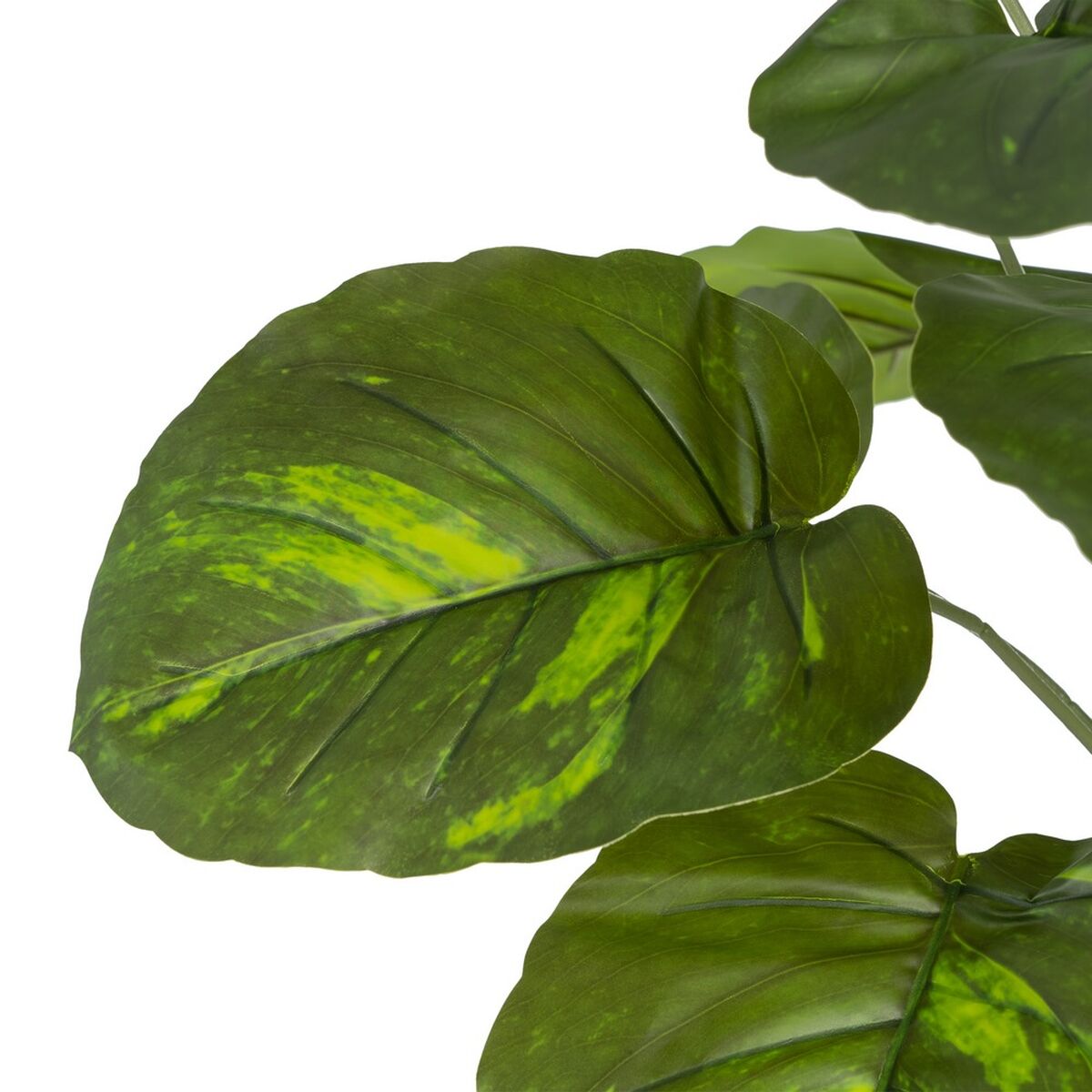 Ramo Verde PVC 70 x 70 x 75 cm