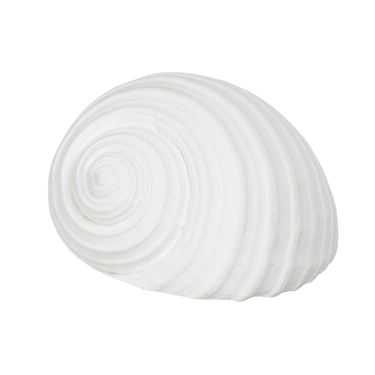 Statua Decorativa Bianco Conchiglia 11 x 9 x 8 cm