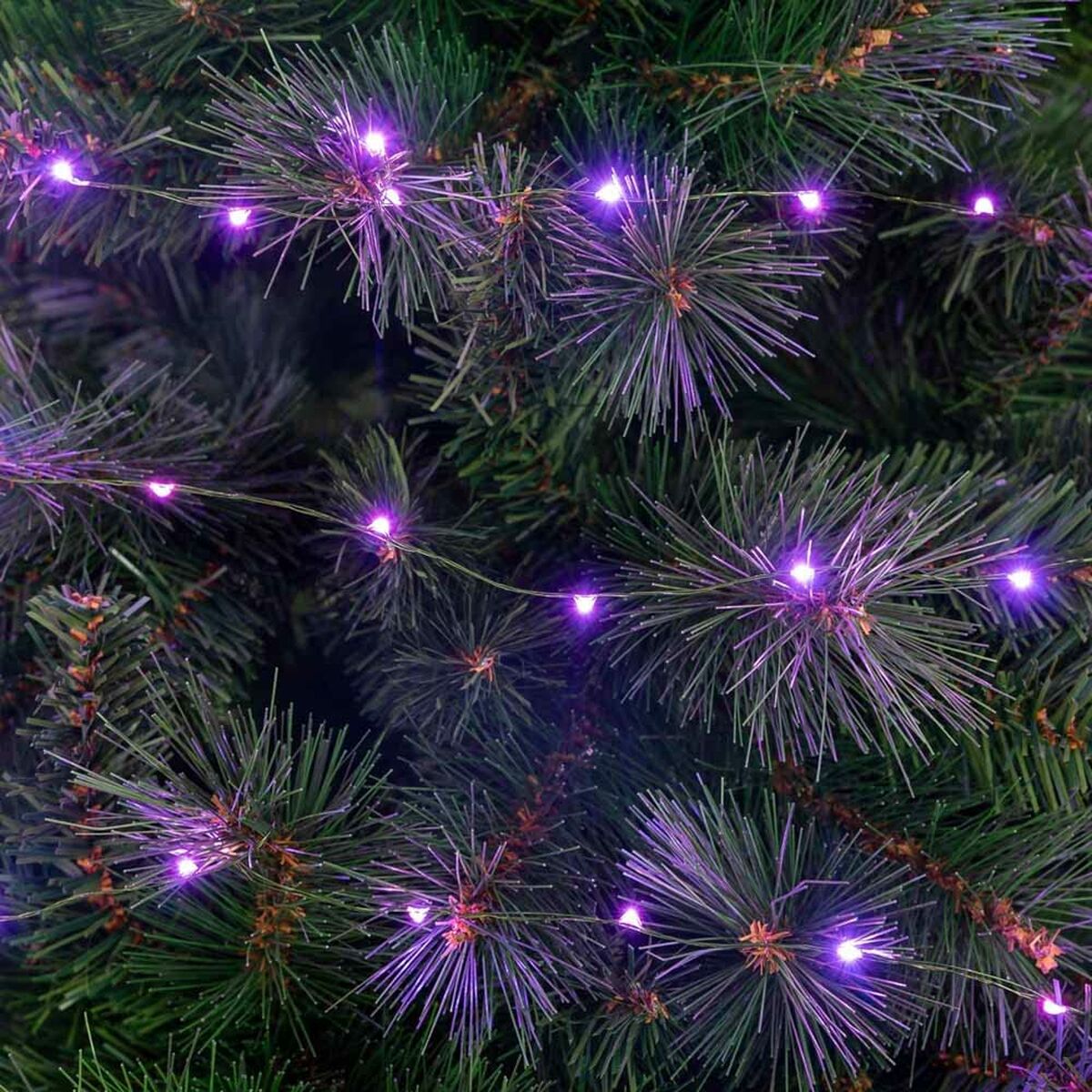 Striscia di luci LED Fucsia 1,5 W