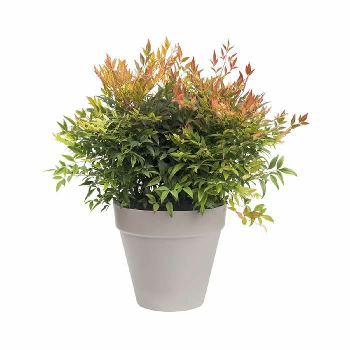 Vaso Elho Rotonda Grigio scuro Ø 30 cm