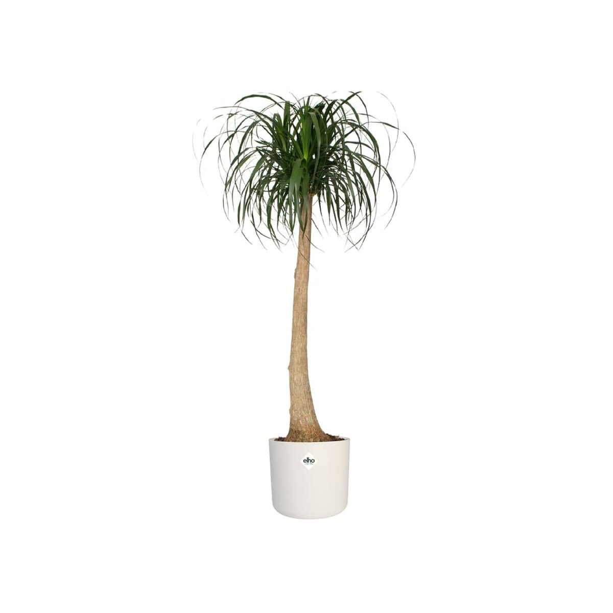 Vaso Elho Bianco Plastica 30 x 30 x 28 cm
