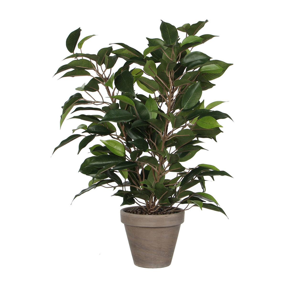 Pianta finta Mica Decorations 40 x 30 cm Ceramica PVC Ficus
