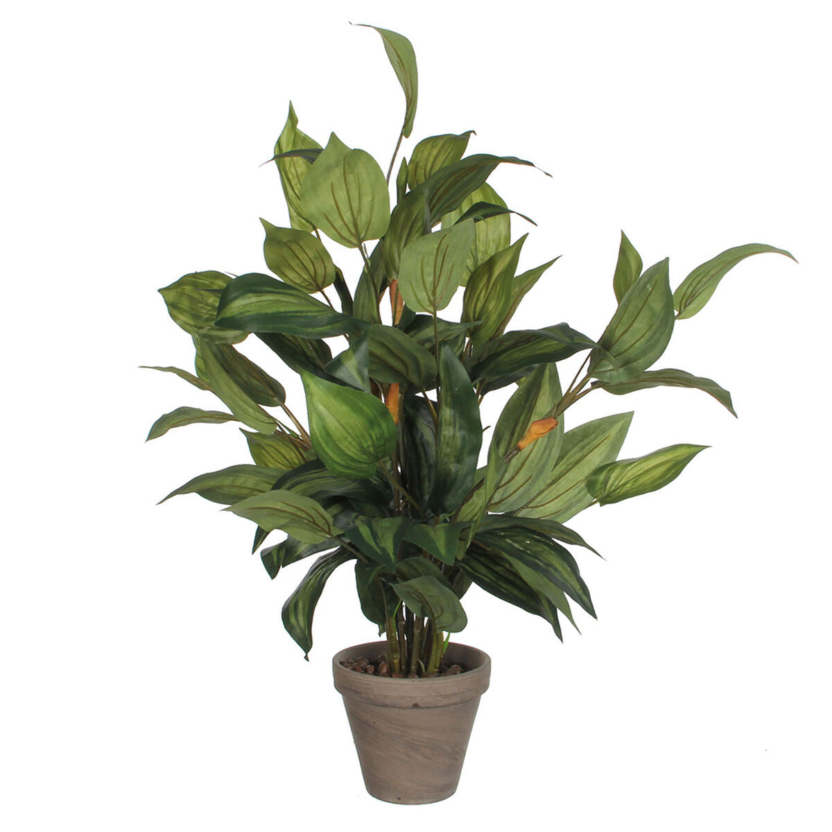 Pianta finta Mica Decorations Hosta Verde PVC (15,5 x 65 cm)