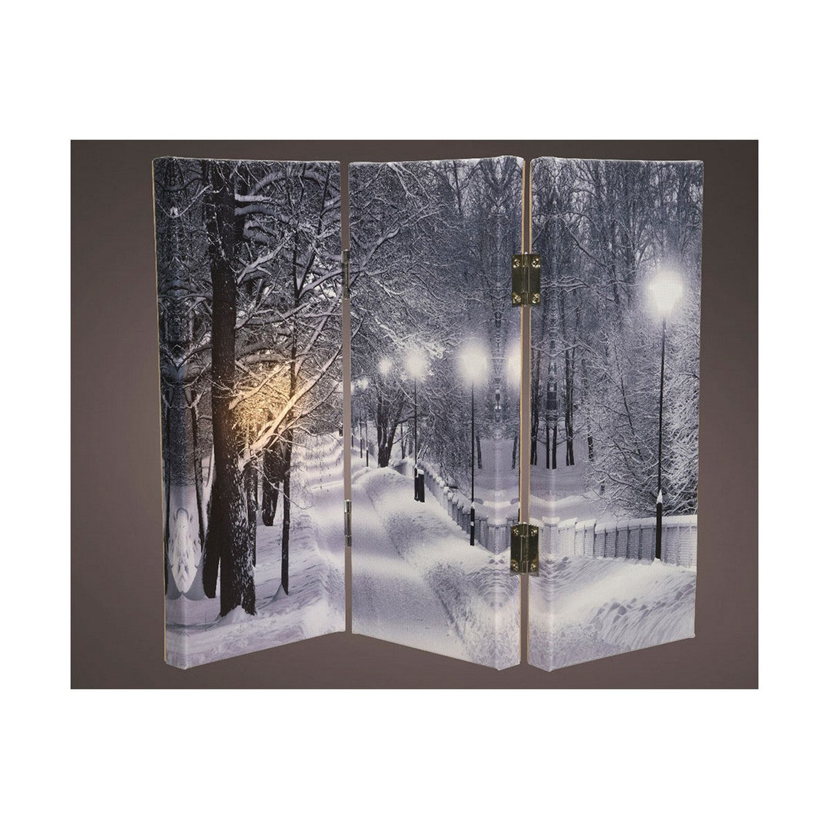 Quadro pieghevole strada innevata di notte