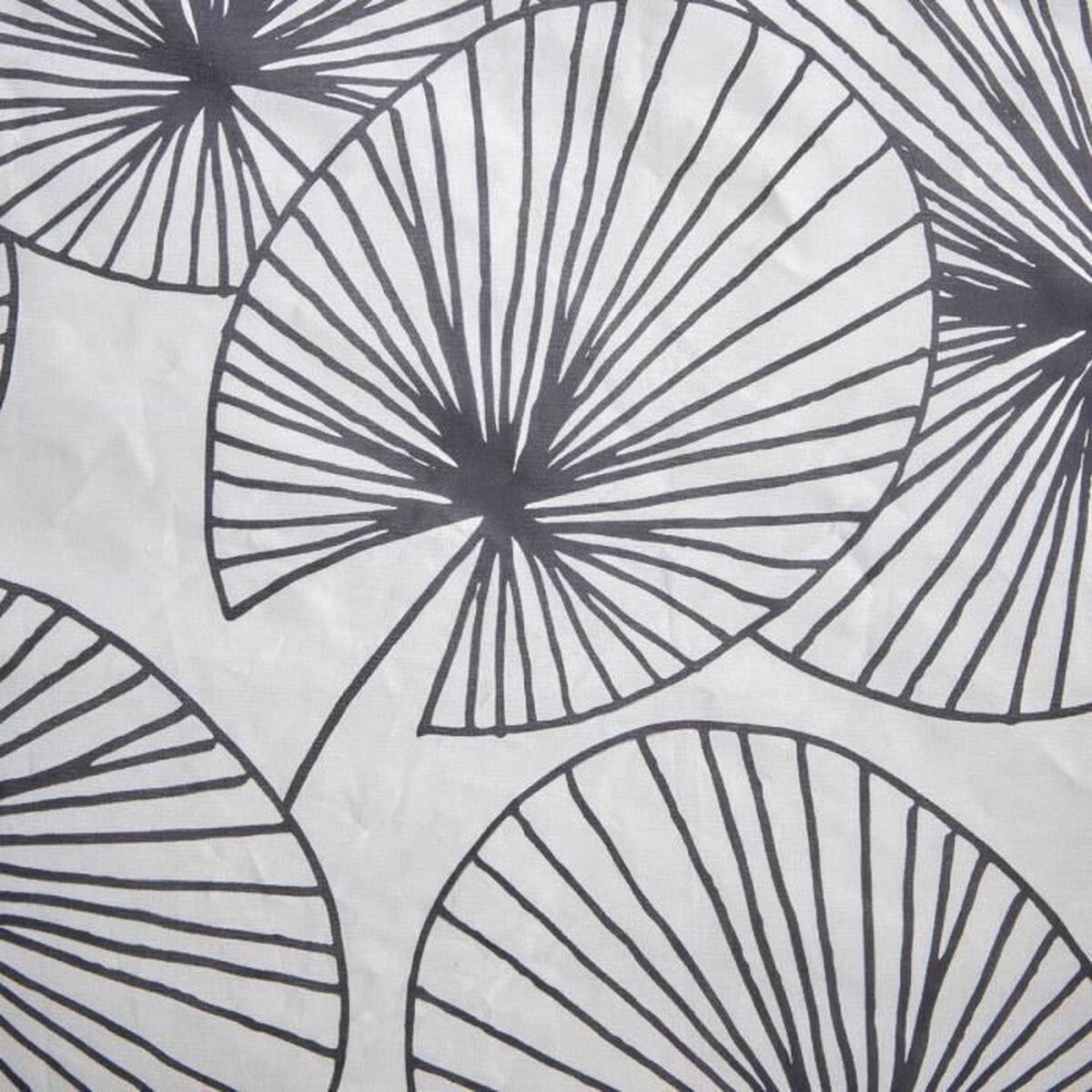 V1H0A888EFBF8A627AF1CB5FDEC45BDD8D4RP2