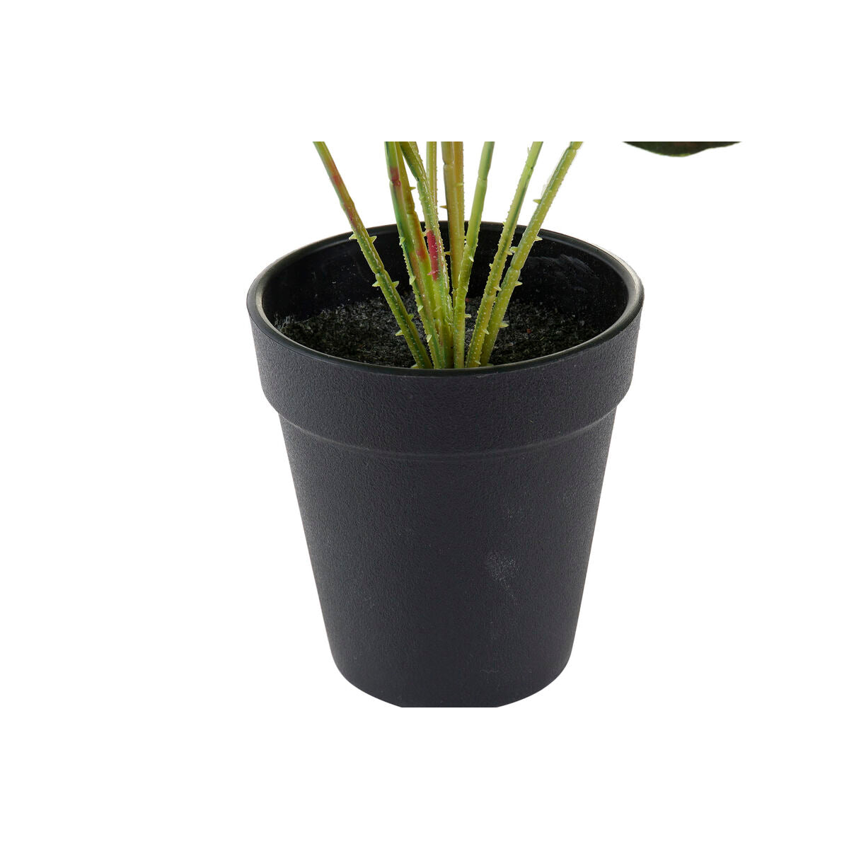 V4H43761311E00525C3C0453E5325895282R5507089P3