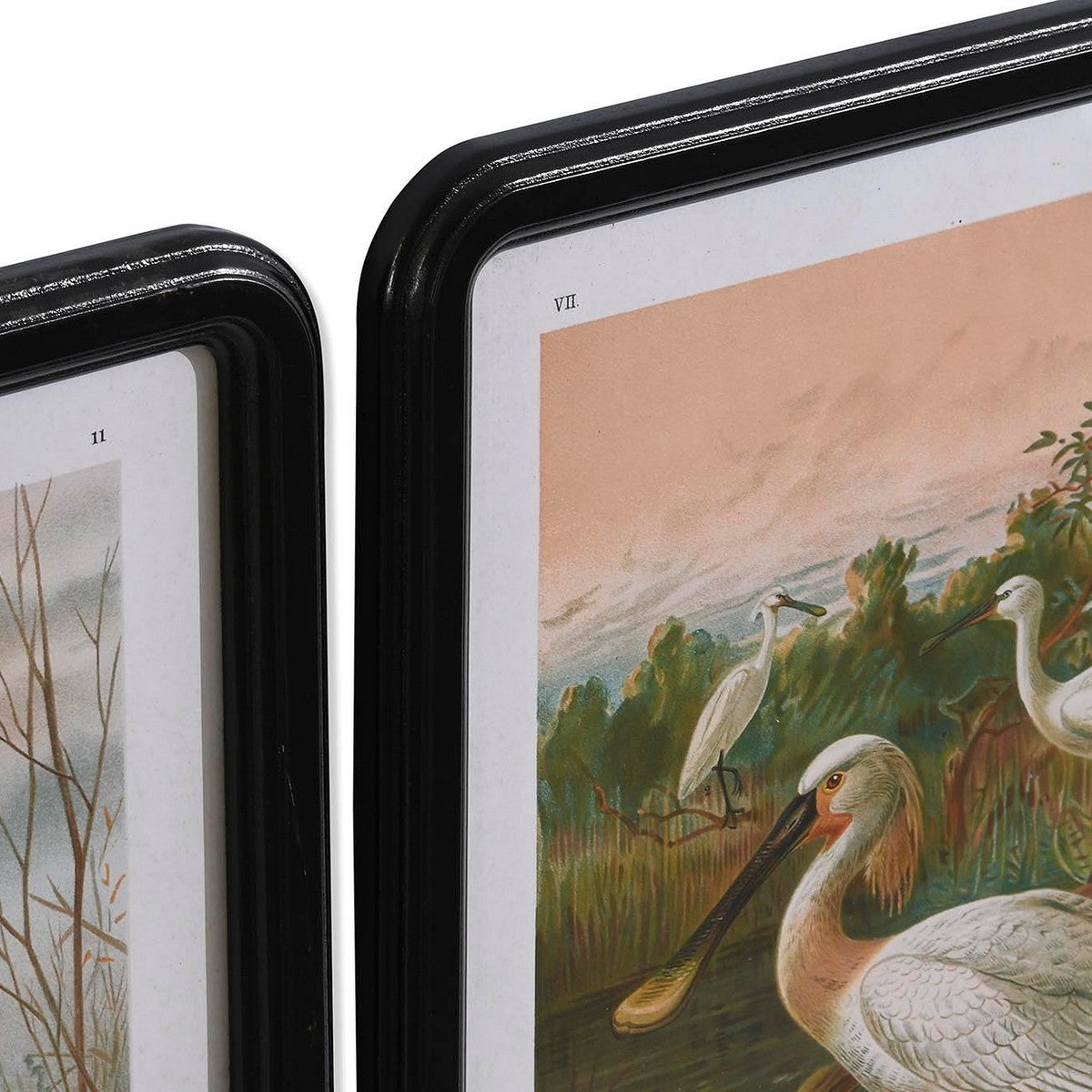 V5H1D154D1EE049039B20F1A2D0AEF54193R5662351P2