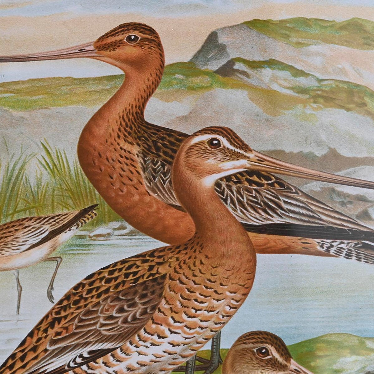 V5H2BD3488C385A372F2D022872E3F59CD3R5662354P3