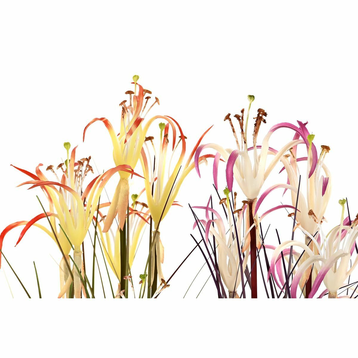 V6H6C7A18F08DA3AF111BBA6BB19F70C0C5R5662658P2