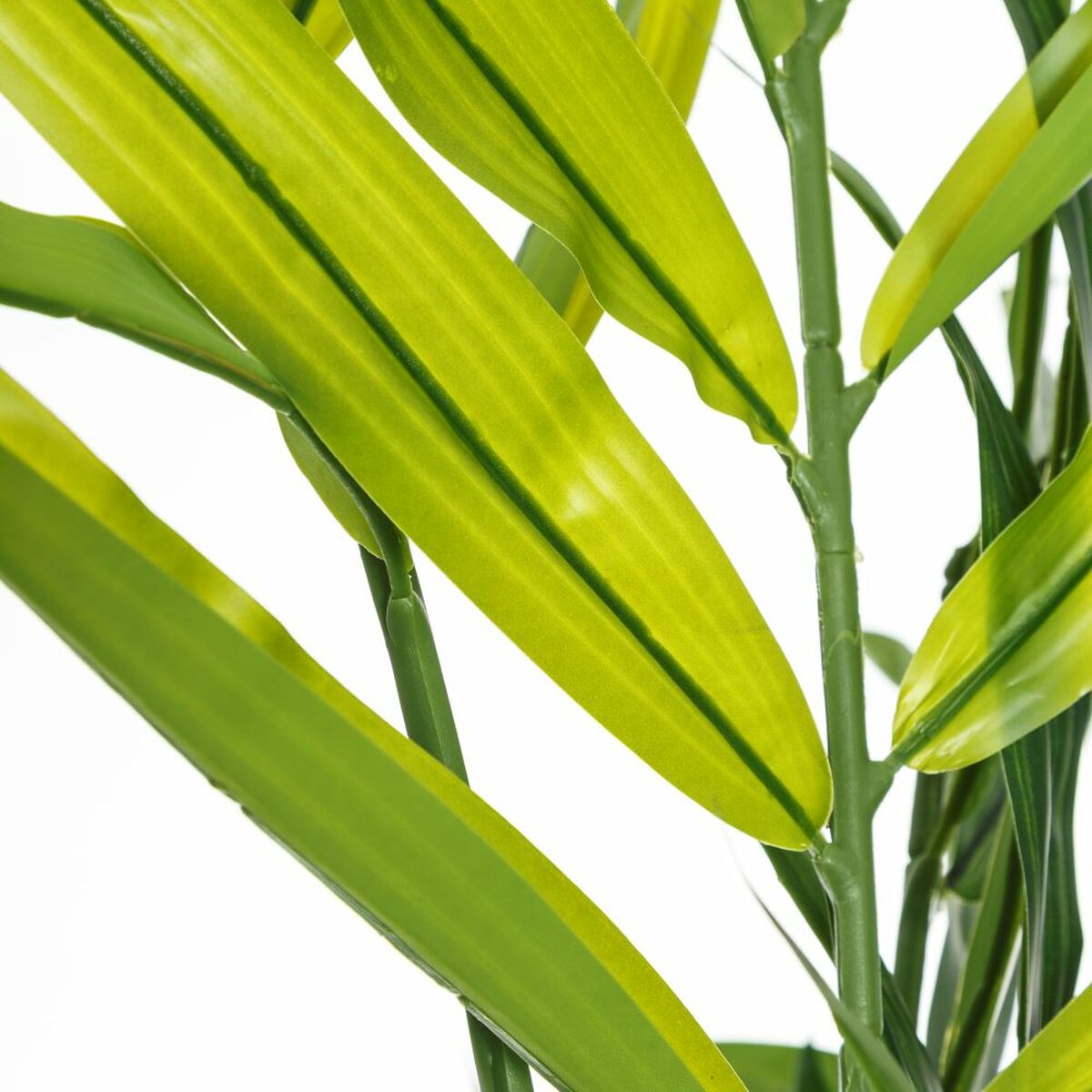 V3HC59EDC1DB5B2C04C3ABD31AAE88EC992R3729334P2