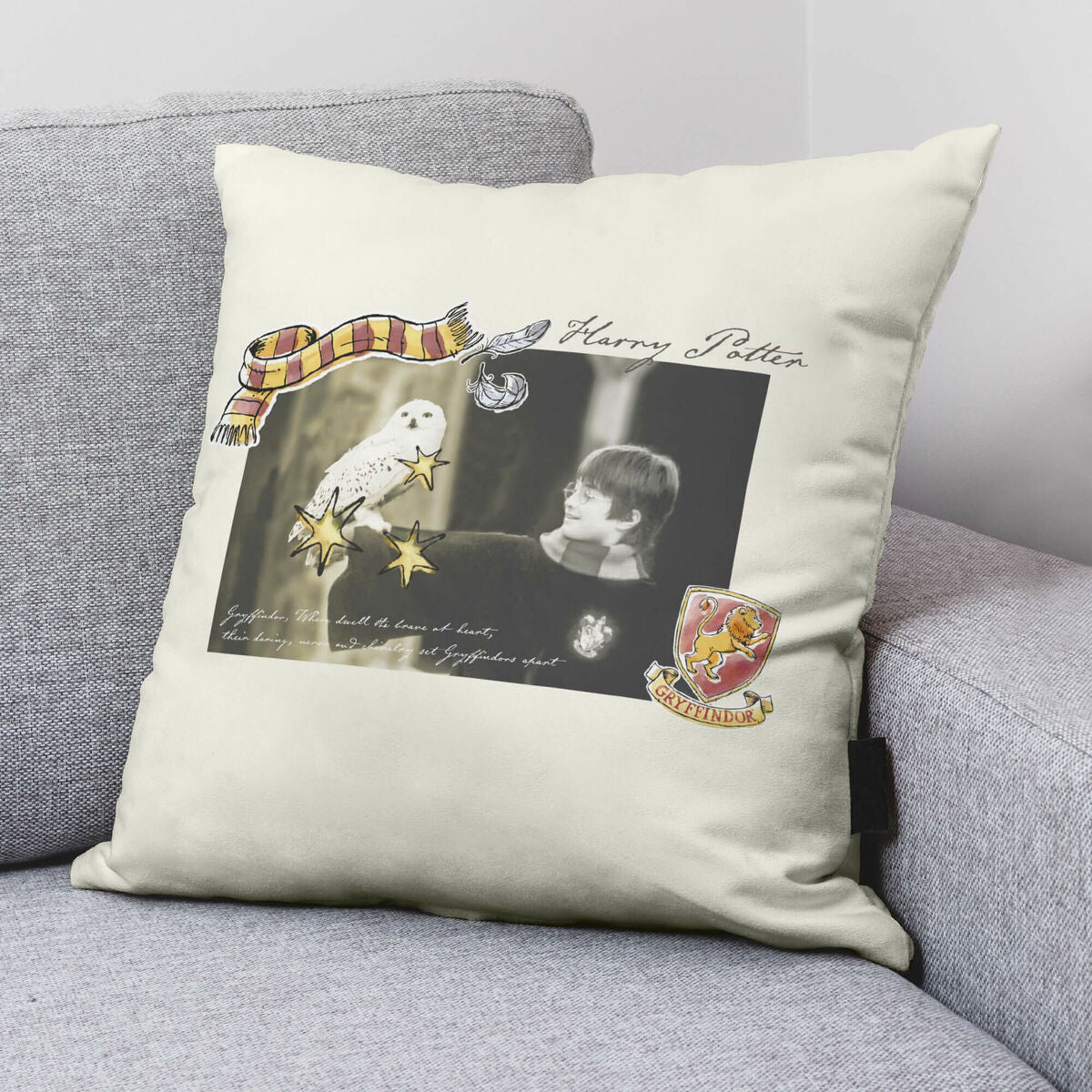 Fodera per cuscino Harry Potter Little Memories 50 x 50 cm