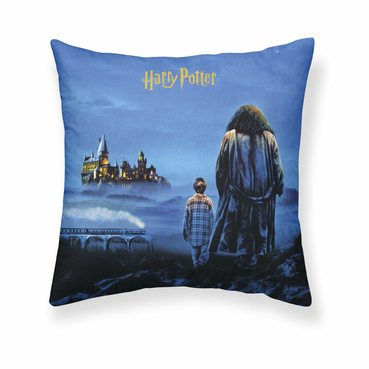 Fodera per cuscino Harry Potter Philosopher's Stone 50 x 50 cm