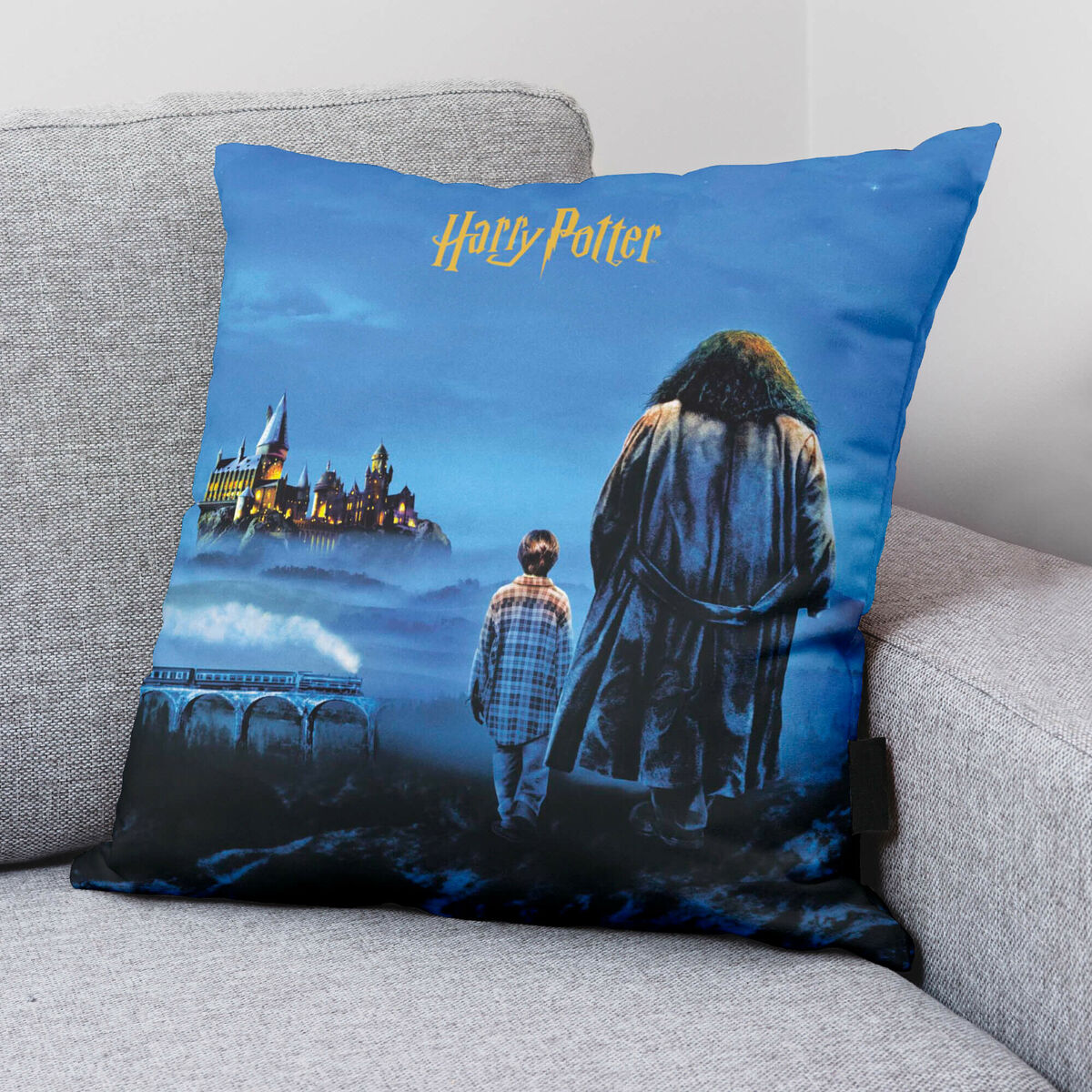 Fodera per cuscino Harry Potter Philosopher's Stone 50 x 50 cm