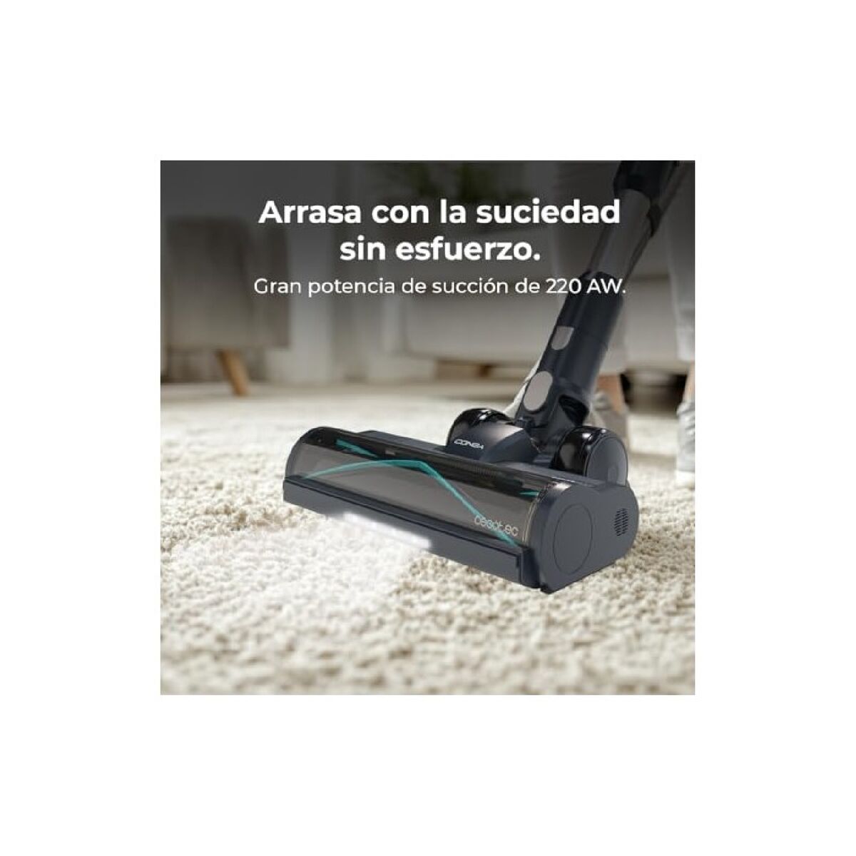 V2HD0E6D1BEB84F50ECD5DBE31921442168R5578622P2