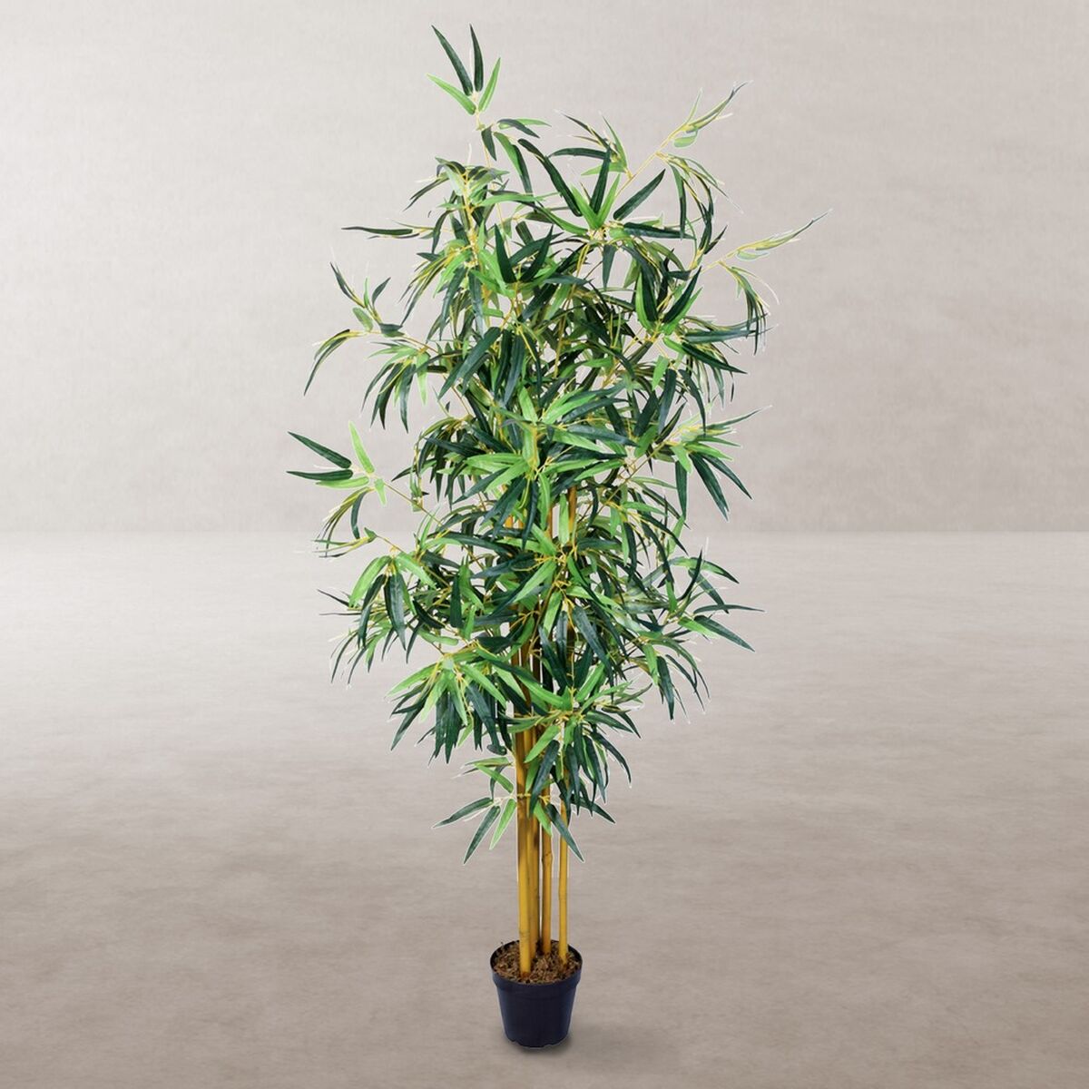 Pianta Decorativa Cemento Tessuto Bambù 150 cm