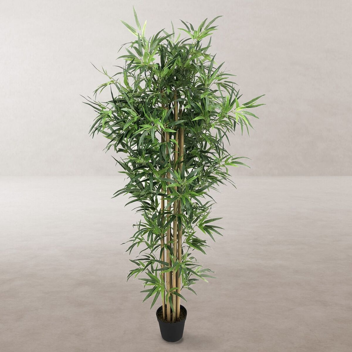 Pianta Decorativa Cemento Tessuto Bambù 180 cm