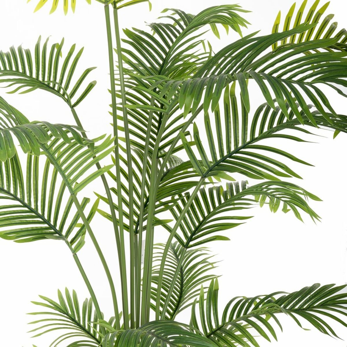 Pianta Decorativa Poliuretano Cemento Areca 150 cm
