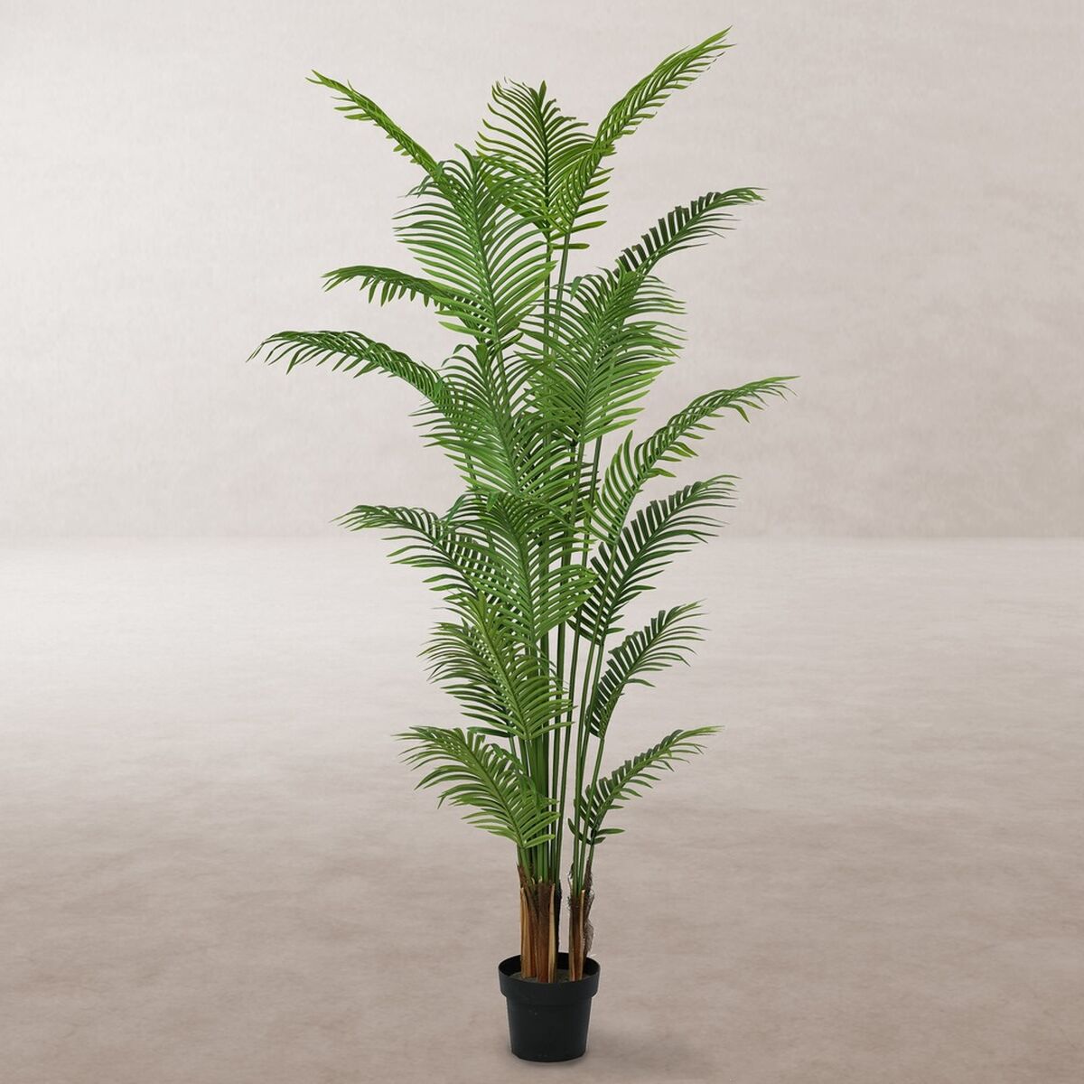 Pianta Decorativa Poliuretano Cemento Areca 210 cm
