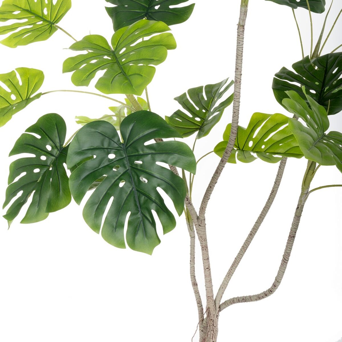 Pianta Decorativa Poliuretano Cemento Monstera 180 cm