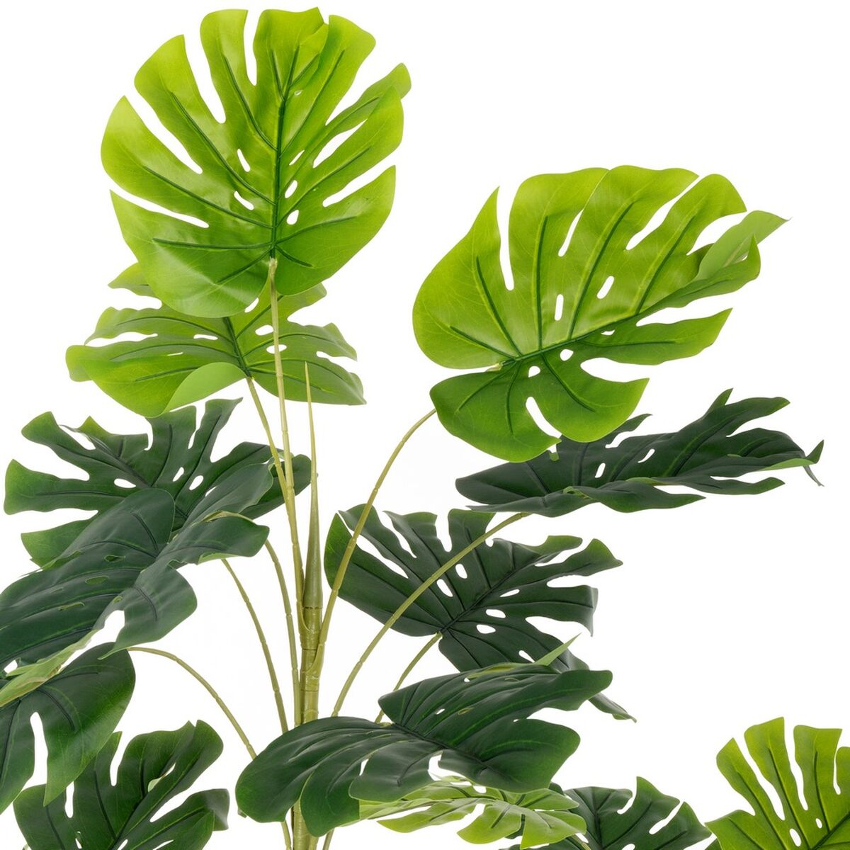 Pianta Decorativa Poliuretano Cemento Monstera 180 cm
