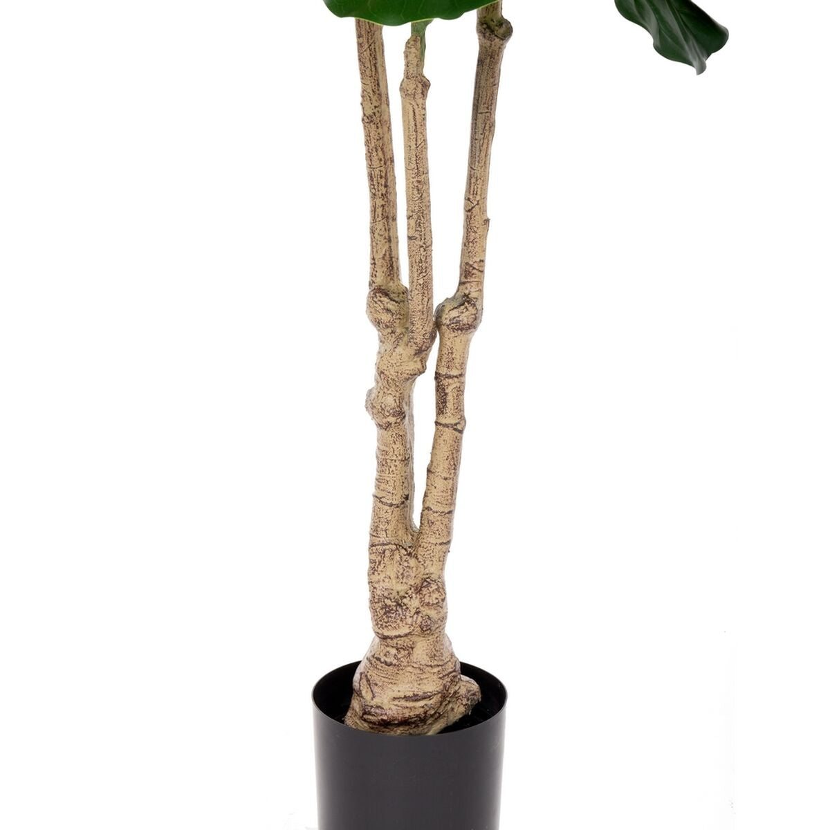 Pianta Decorativa Poliuretano Cemento Ficus 175 cm