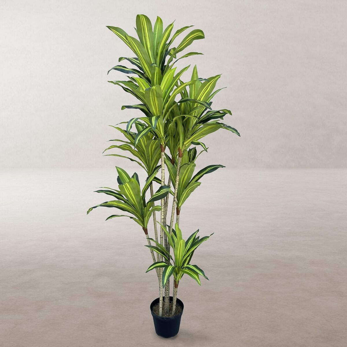 Pianta Decorativa Poliuretano Cemento 180 cm