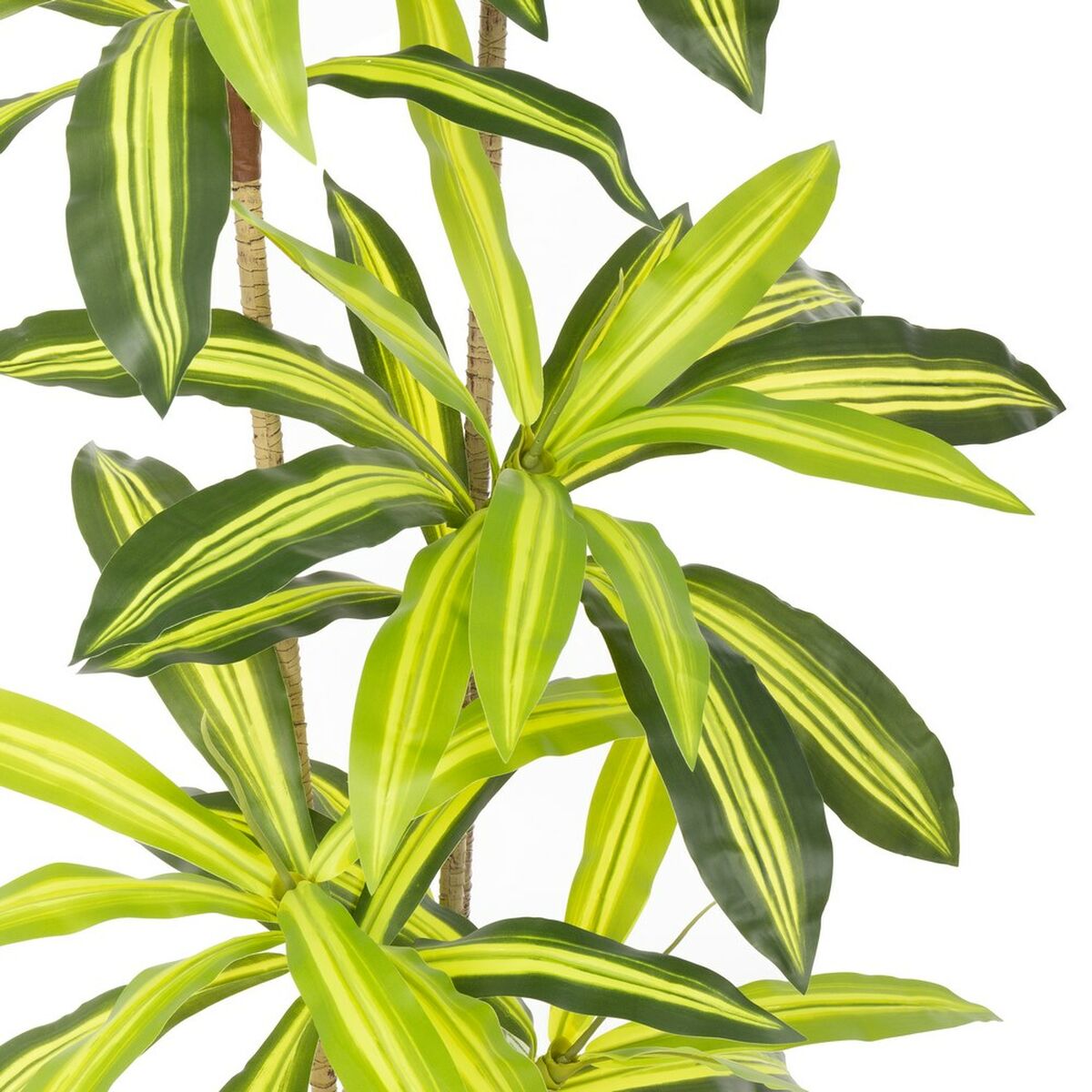 Pianta Decorativa Poliuretano Cemento 180 cm